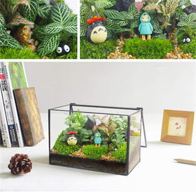 Libproqia display box terrarium ideal for weddings and offices.