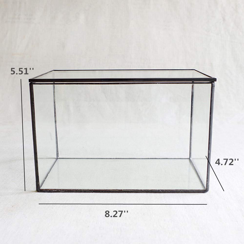 Libproqia geometric clear container highlighting modern display for plants.
