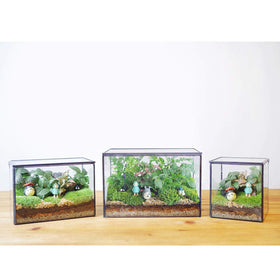 Libproqia large terrarium showing its dimensions for display.