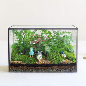 Libproqia rectangle black pot box terrarium for stylish desk decor.