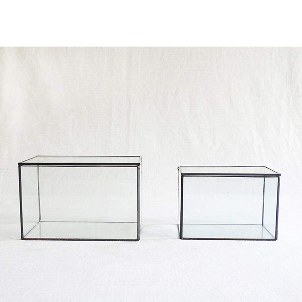 Libproqia toughened glass terrarium designed for safe transport.