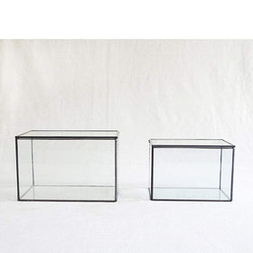 Libproqia toughened glass terrarium designed for safe transport.