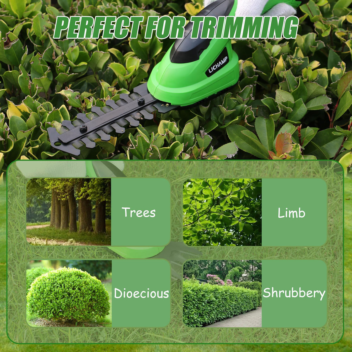 Lichamp 2-in-1 compact design fits tight garden corners.
