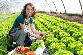Life Cycle Organics label closeup confirms organic, non-toxic soil amendment