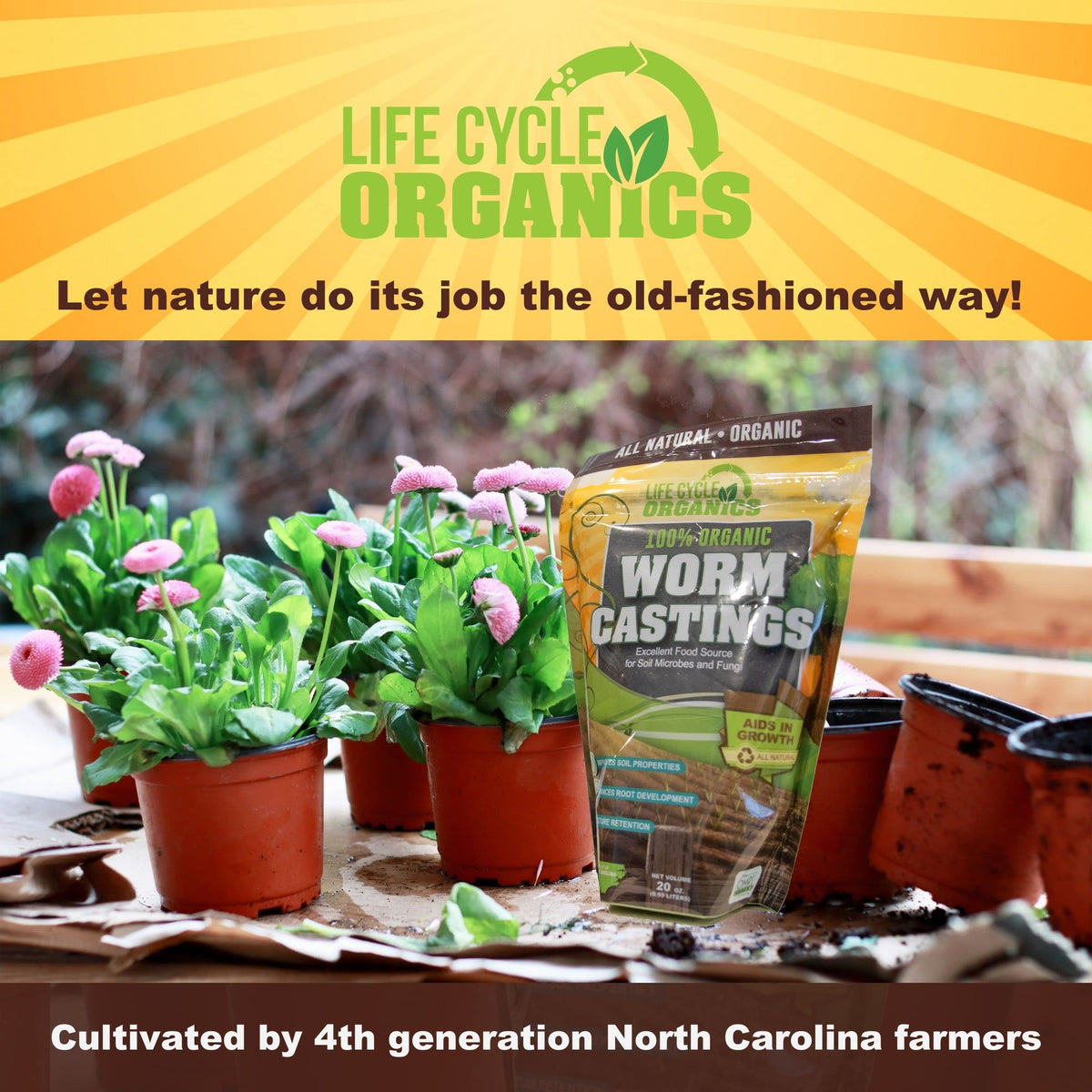 Life Cycle Organics root growth detail suggests healthier root development