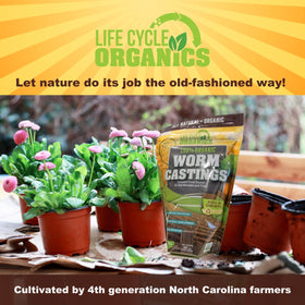 Life Cycle Organics root growth detail suggests healthier root development