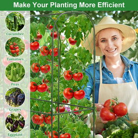 LifeisLuck climbing plant support suitable for tomatoes and cucumbers.