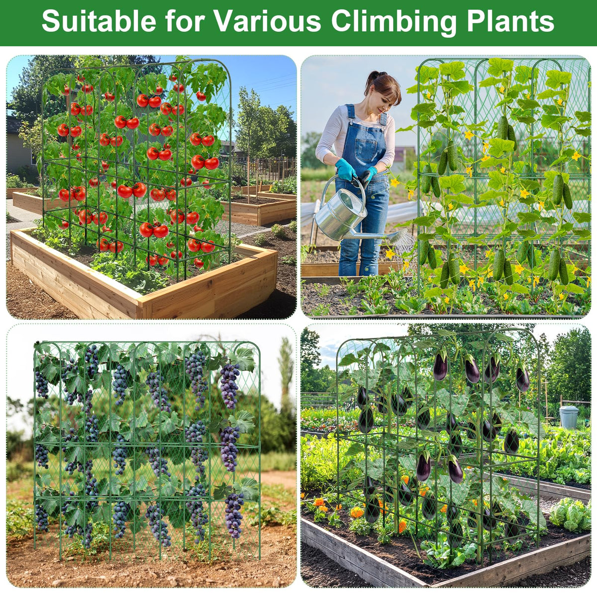 LifeisLuck complete trellis kit with all parts included.