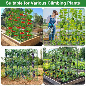 LifeisLuck complete trellis kit with all parts included.