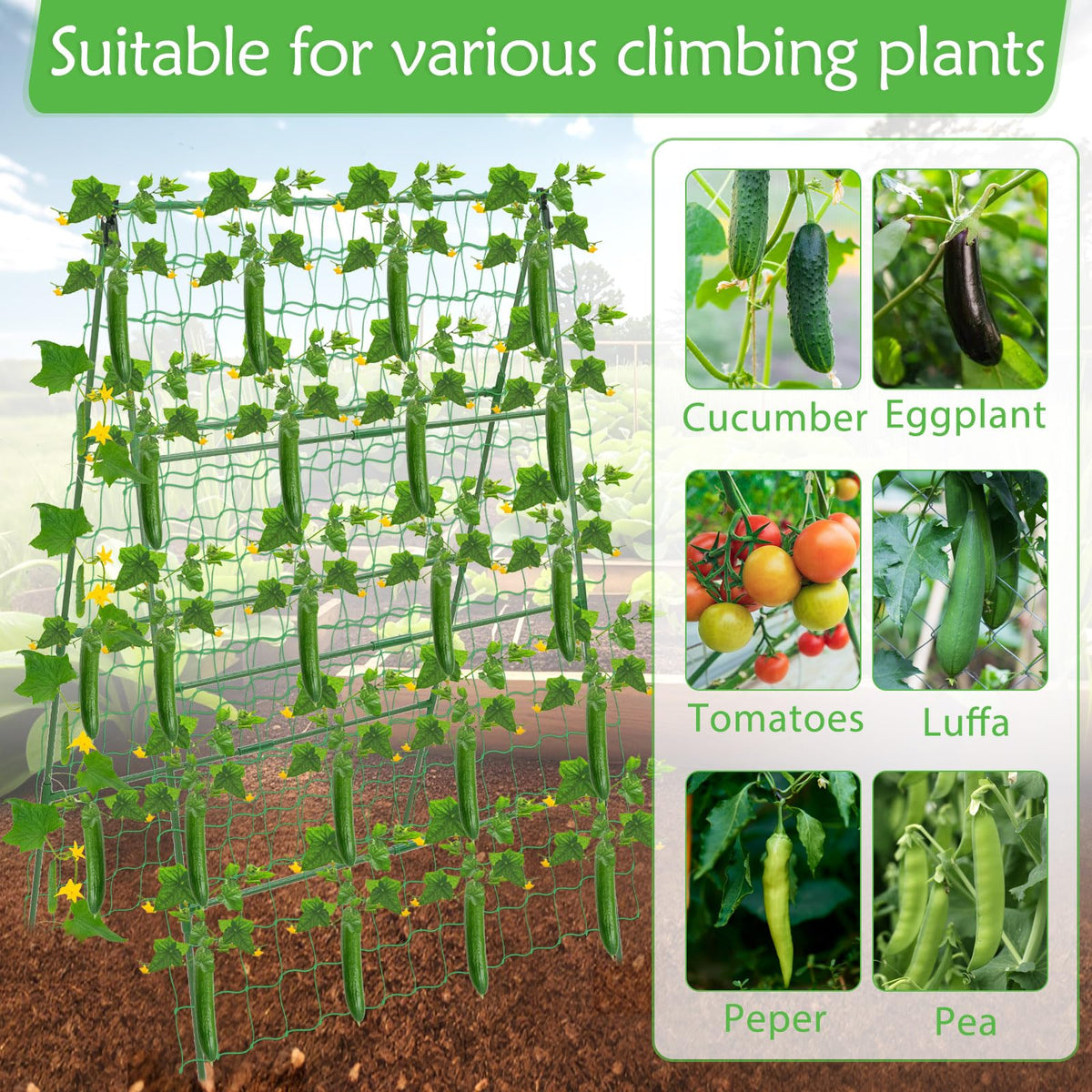 LifeisLuck detachable foldable trellis folds for easy off-season storage.