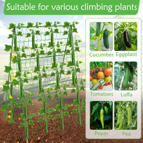 LifeisLuck detachable foldable trellis folds for easy off-season storage.