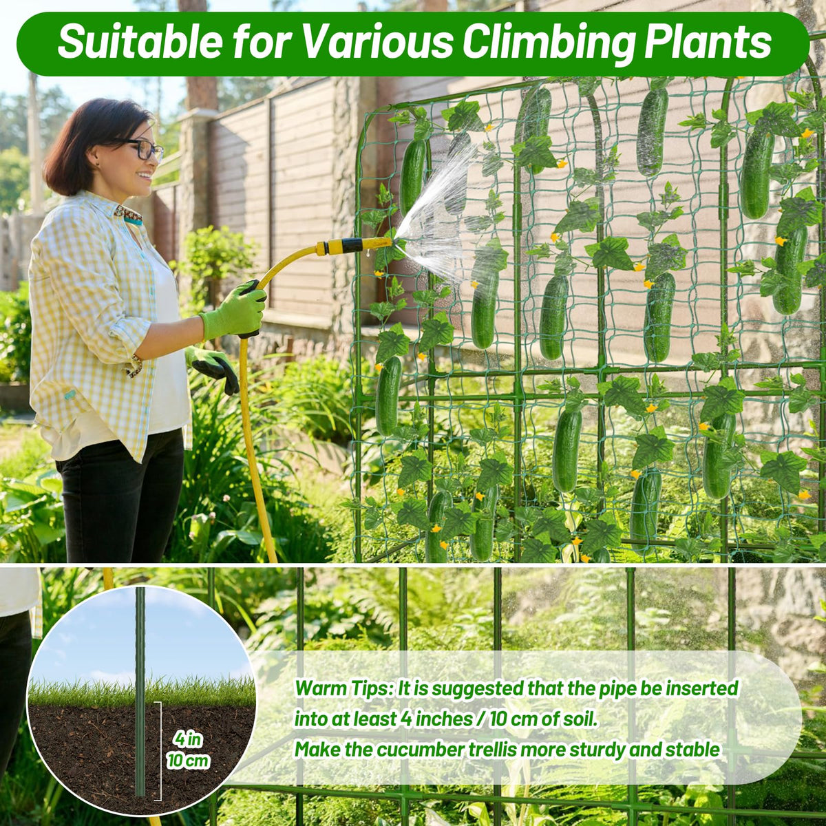 LifeisLuck Garden arch with net helps peas, cucumbers, and grapes climb securely.