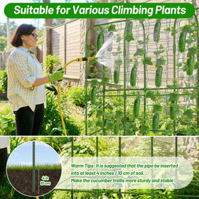 LifeisLuck Garden arch with net helps peas, cucumbers, and grapes climb securely.