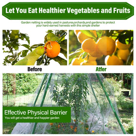 LifeisLuck easy-installation with draped netting and ties