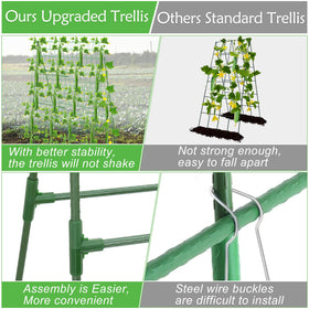LifeisLuck nylon mesh 18 strands 5 cm offers strong support for vines.
