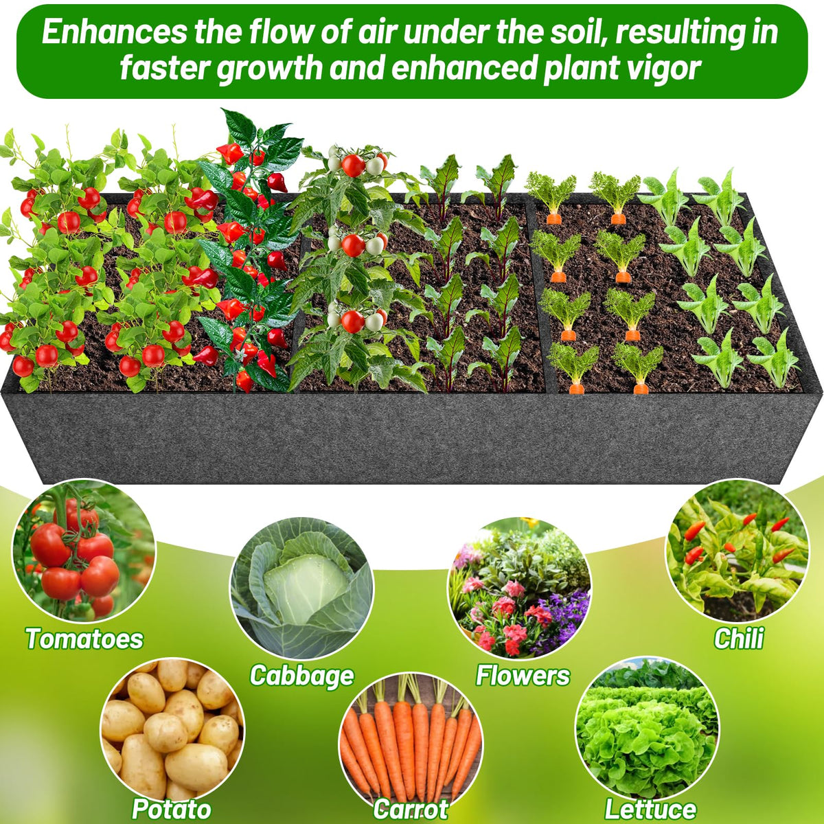 LifeisLuck Plants on both sides receive better light with the arch design.