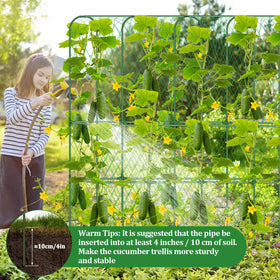 LifeisLuck plastic-coated steel trellis resists rust and weather.