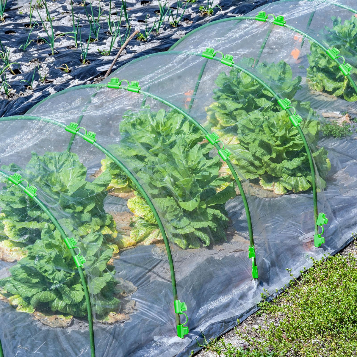 LifeisLuck shade cloth usage example for temperature regulation