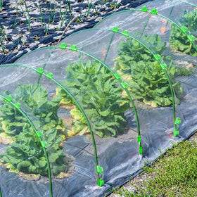 LifeisLuck shade cloth usage example for temperature regulation