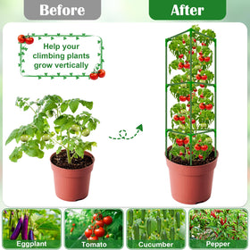 LifeisLuck twist ties offer quick, gentle tie-downs for growth.
