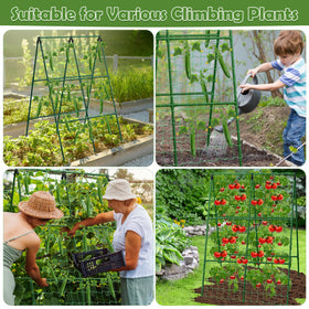 LifeisLuck versatile climbing support for cucumbers, beans, grapes, tomatoes.