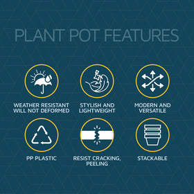 Lifemaster drainage-enabled design prevents waterlogging and root rot.