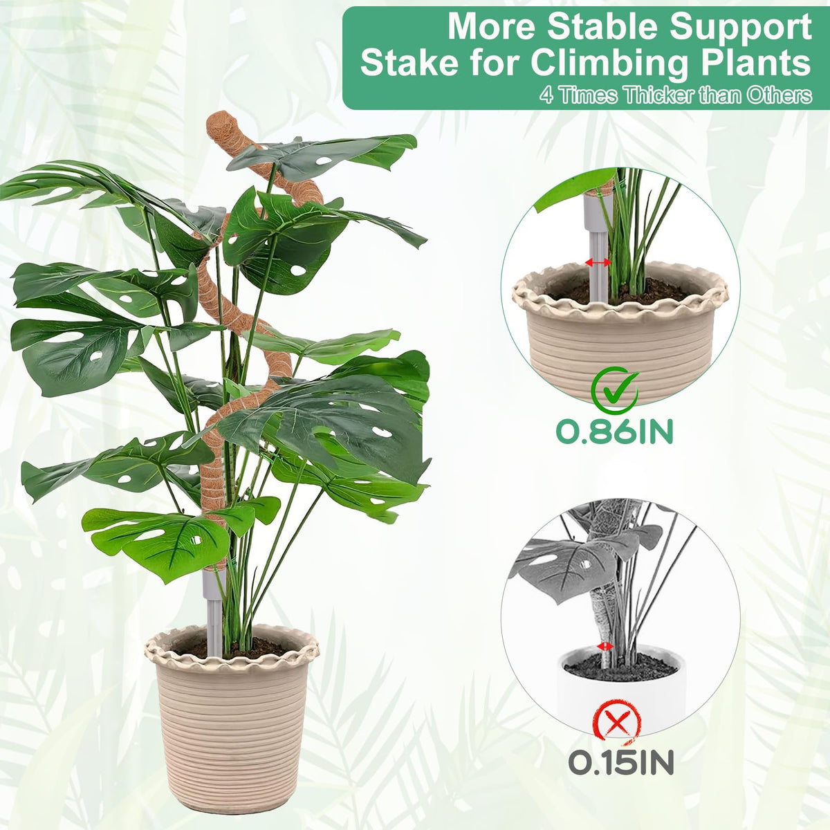 LifeNest indoor climbing plants supported by moss pole setup