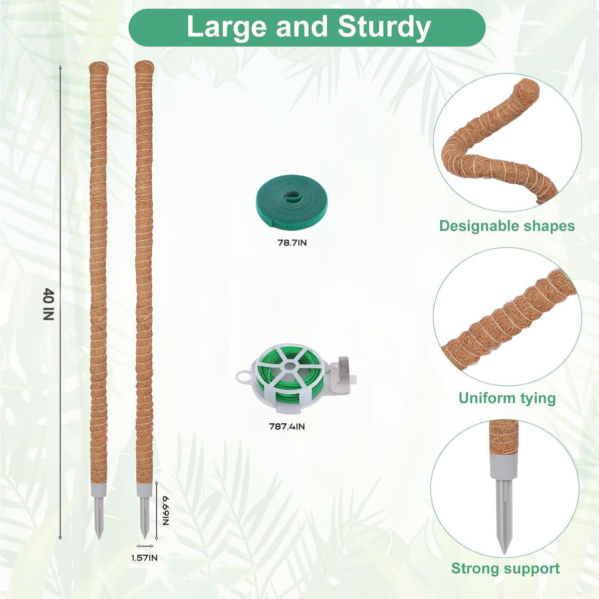LifeNest 40-inch moss pole length provides flexibility for future growth