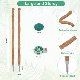 LifeNest 40-inch moss pole length provides flexibility for future growth