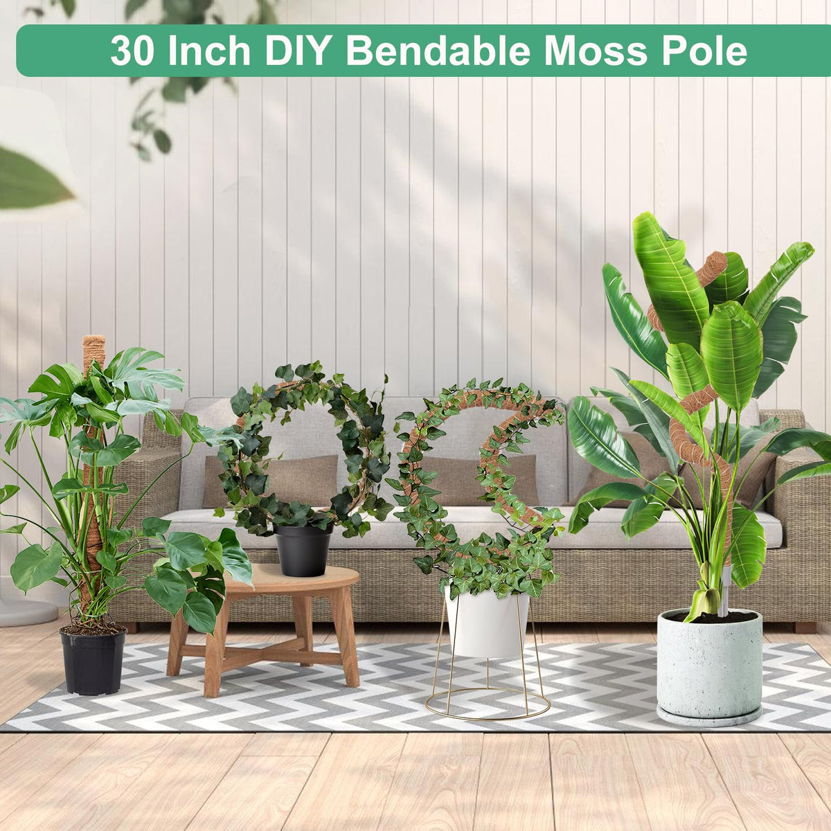 LifeNest moss pole aluminum core provides strong upright growth.