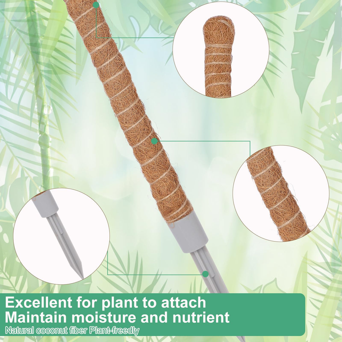 LifeNest moss pole suitable for climbing plants indoors like Monstera and pothos