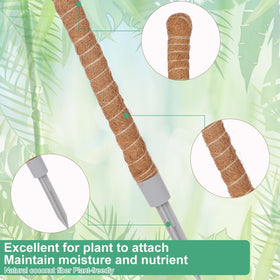 LifeNest moss pole 28-inch for DIY shaping of plant forms