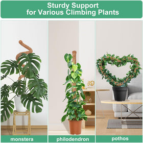 LifeNest moss pole setup showing upright support for vines