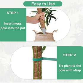 LifeNest gentle plant ties securing plant stems on moss pole