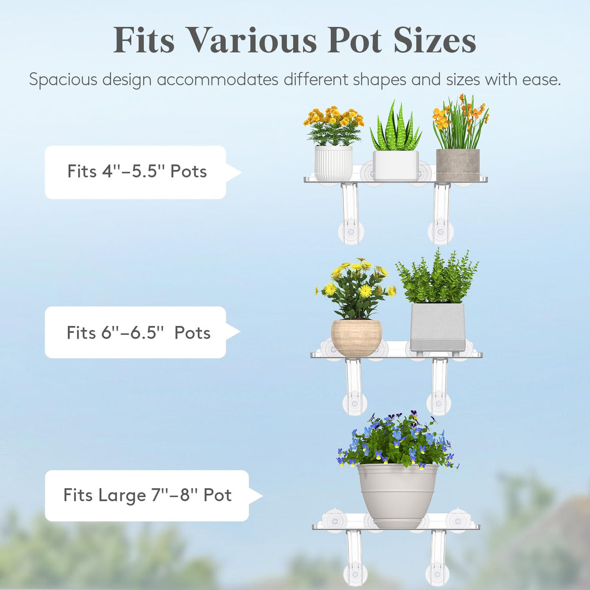 Lifewit suction cup shelf close-up guardrail prevents plant falls.