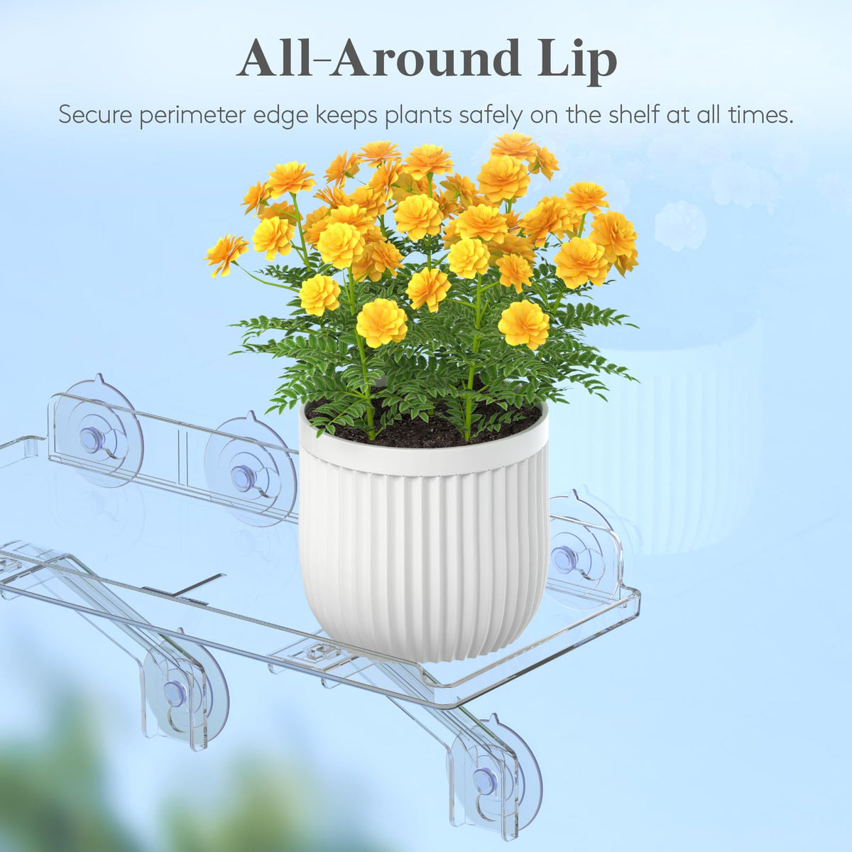 Lifewit window shelf guardrail design keeping herbs secure.