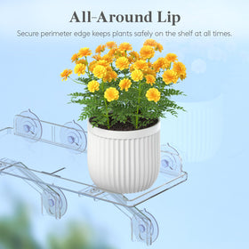 Lifewit window shelf guardrail design keeping herbs secure.