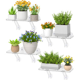 Lifewit 6in window shelf wide front view showing ample space for multiple pots.