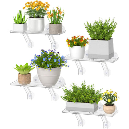 Lifewit 6in window shelf wide front view showing ample space for multiple pots.