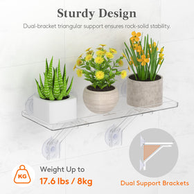 Lifewit window shelf 6in loaded with three pots demonstrates strong load capacity.