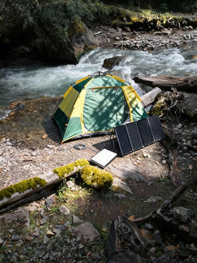 LiFirst Starlink Mini Battery DC architecture highlights efficient power management.
