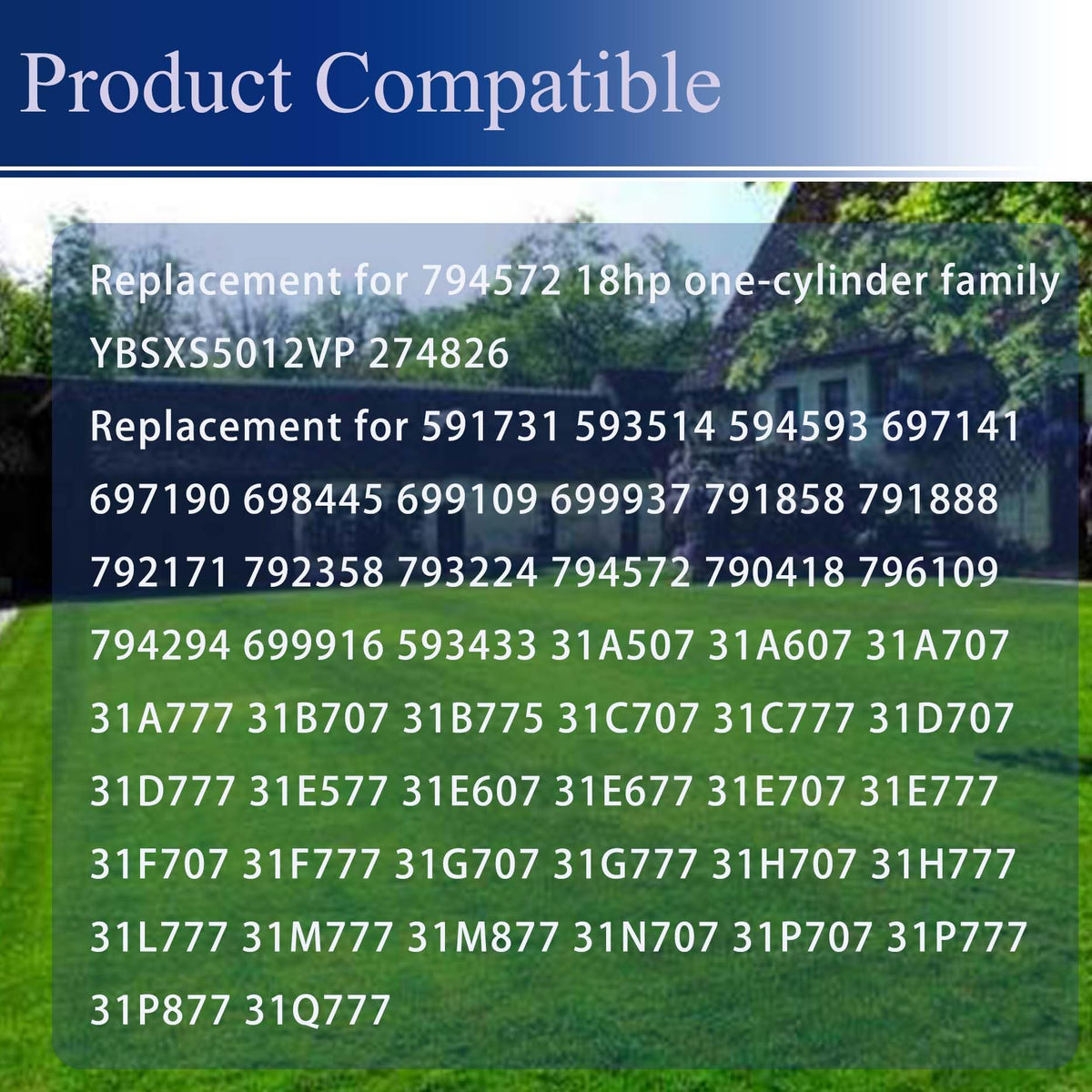 LiGuVCY carburetor with compact design, fits a range of Intek engines