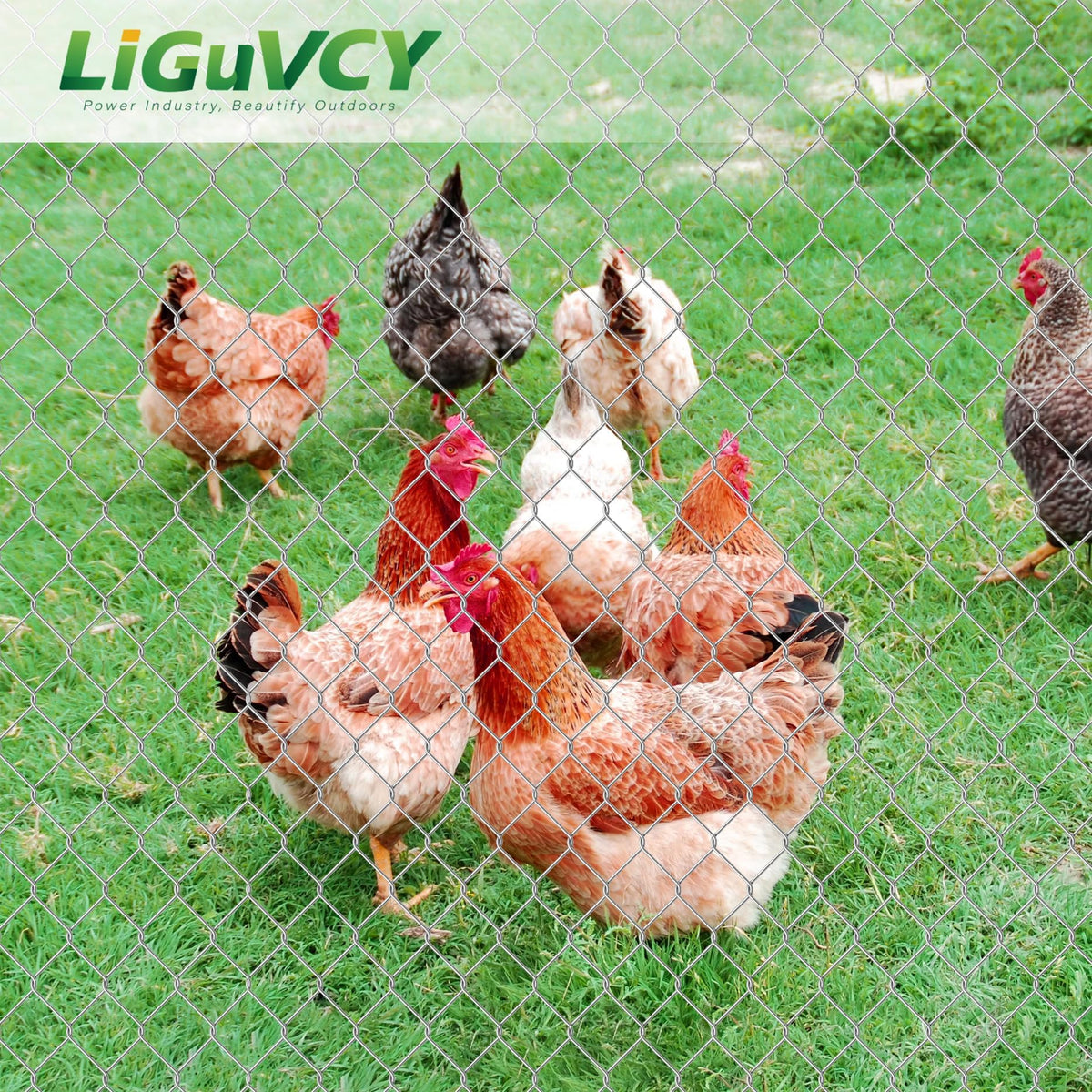 LiGuVCY easy-cut metal fence assists tailoring to coop shapes.