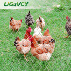 LiGuVCY easy-cut metal fence assists tailoring to coop shapes.