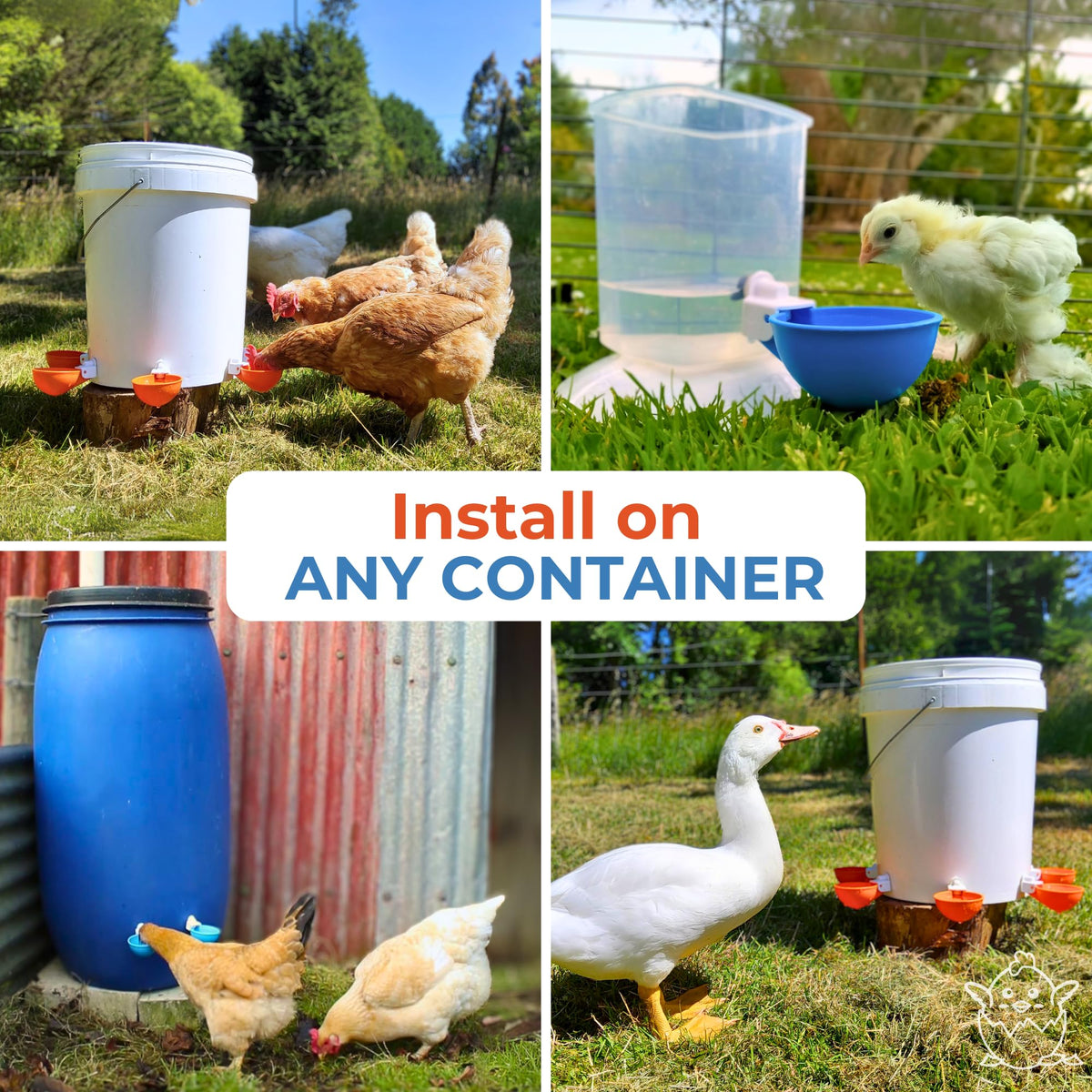 Lil Clucker cups support a time-saving solution that reduces frequent refilling.