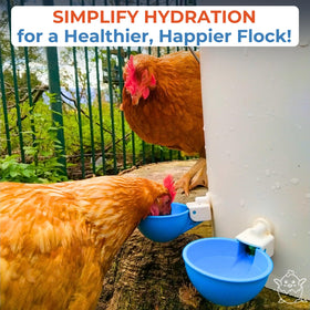 Lil Clucker 12-pack waterer cups designed for large flocks.