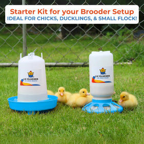 Lil'Clucker Anti-Tip Base — stable feeding for busy brooders.