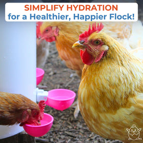 Lil'Clucker automatic waterer large cups – 3-inch diameter for easy dipping.
