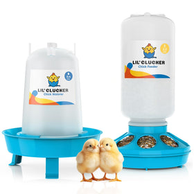 Lil'Clucker Chick Feeder Blue 1L — compact, easy daily feeding for a growing brood.