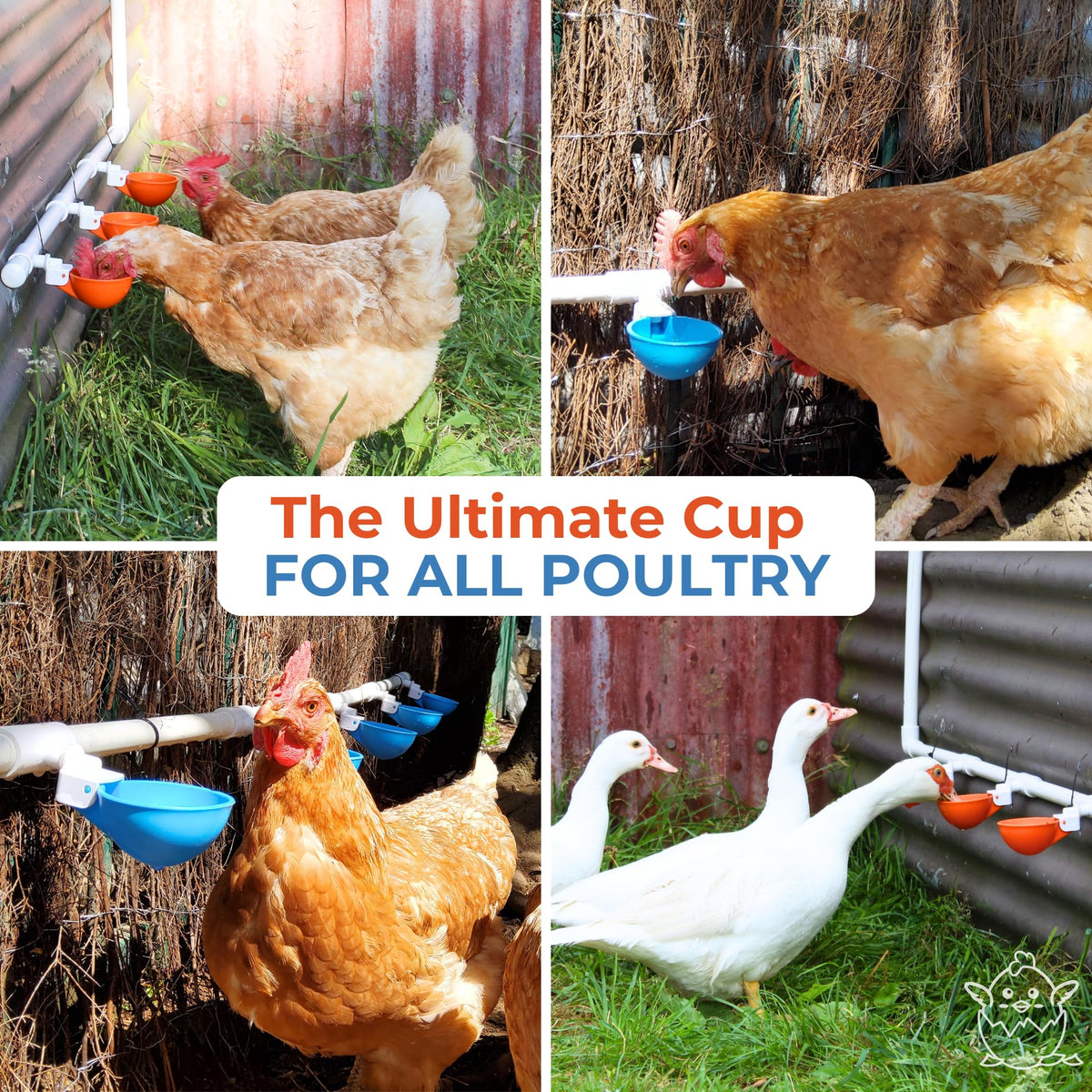 Lil'Clucker coop-enclosure-compatibility fits most coops and enclosures.